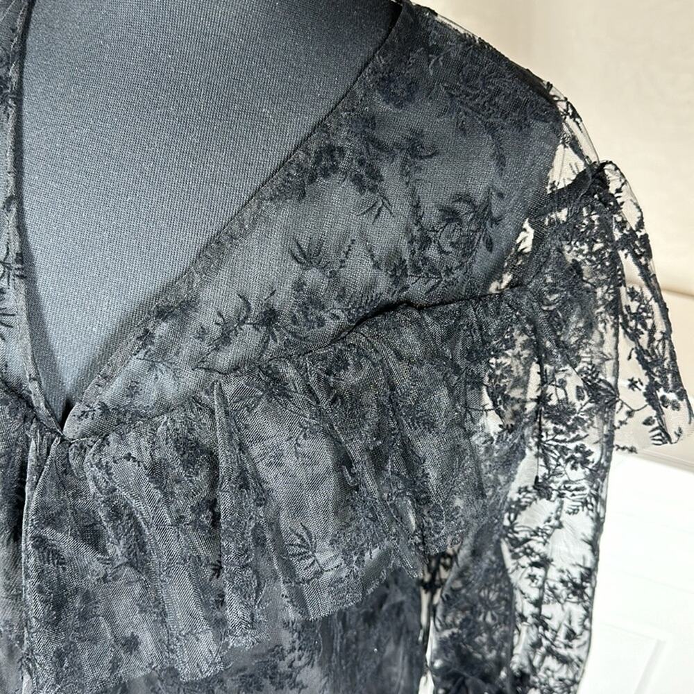 Zara Floral Tulle Ruffle Trim Blouse Top Black Sheer Velvet Lace Whimsigoth Sz L - Picture 8 of 13